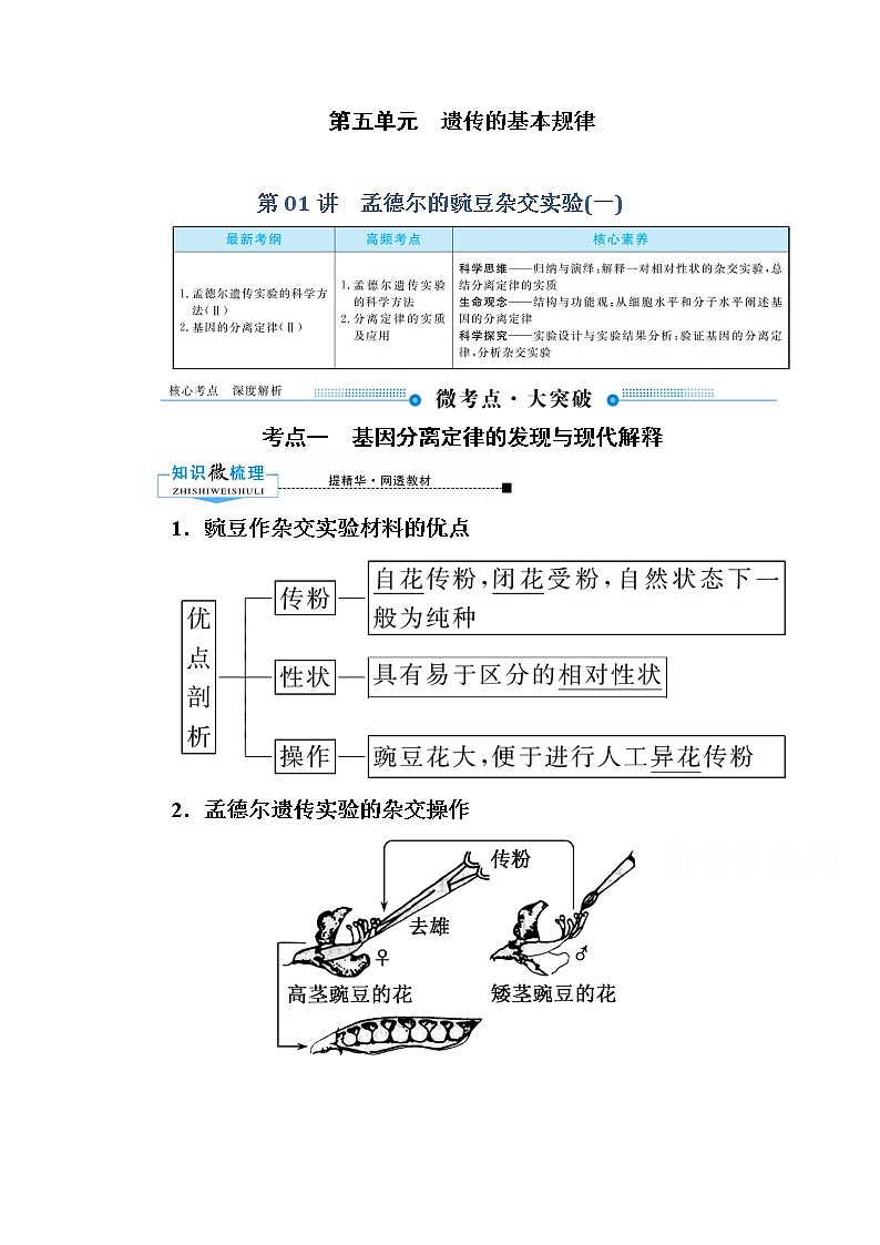 2020版《赢在微点》高考生物人教版一轮复习讲义:第五单元第01讲 孟德尔的豌豆杂交实验(一)第1页
