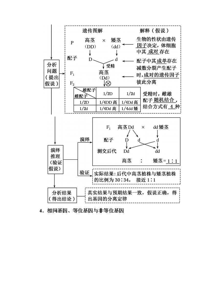 2020版《赢在微点》高考生物人教版一轮复习讲义:第五单元第01讲 孟德尔的豌豆杂交实验(一)第3页