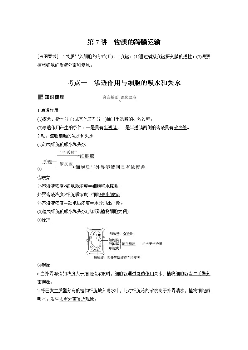 2020版高考生物苏教版一轮复习讲义:第二单元第7讲物质的跨膜运输第1页