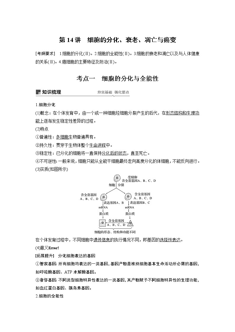 2020版高考生物苏教版一轮复习讲义:第四单元第14讲细胞的分化、衰老、凋亡与癌变第1页