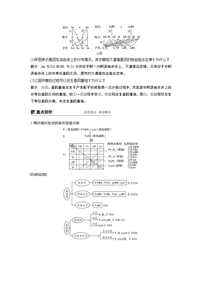 2020版高考生物苏教版一轮复习讲义:第五单元第16讲基因的自由组合定律第3页