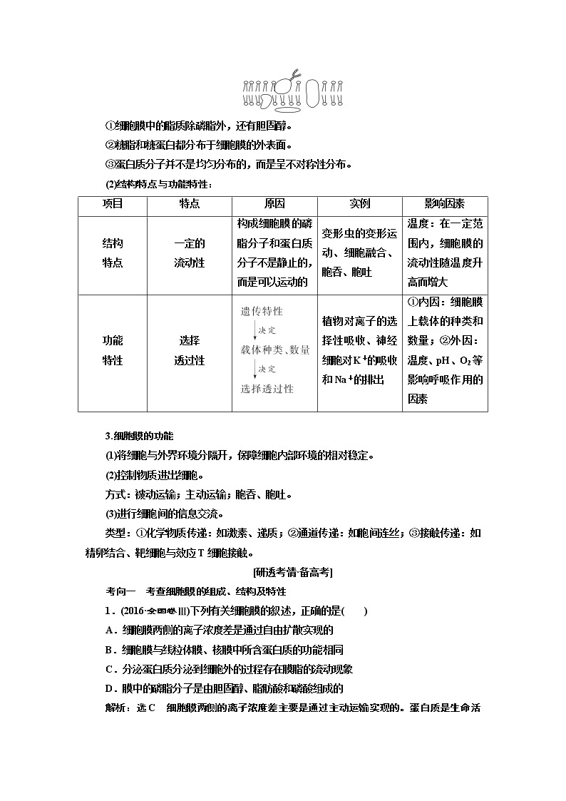 2020版一轮复习生物江苏专版必修1学案：第二单元第1讲细胞膜与细胞核（含生物膜的流动镶嵌模型）03