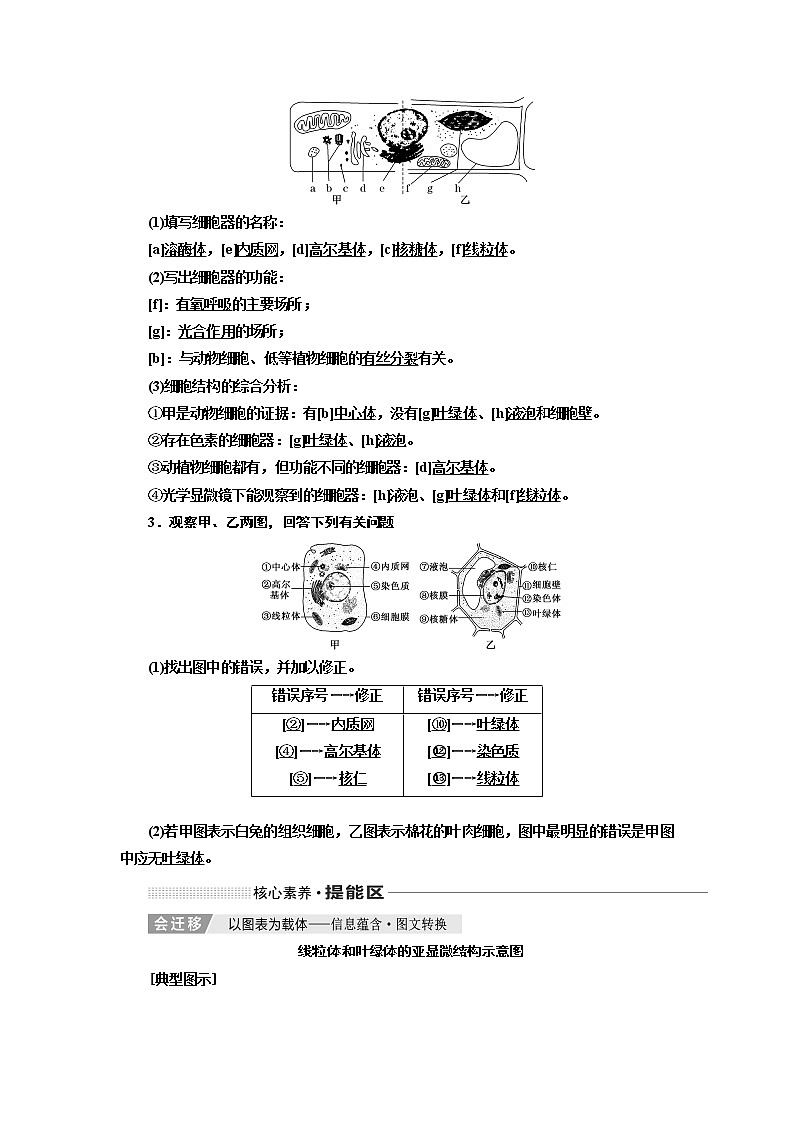 2020版一轮复习生物通用版学案:第二单元第二讲细胞器——系统内的分工合作03