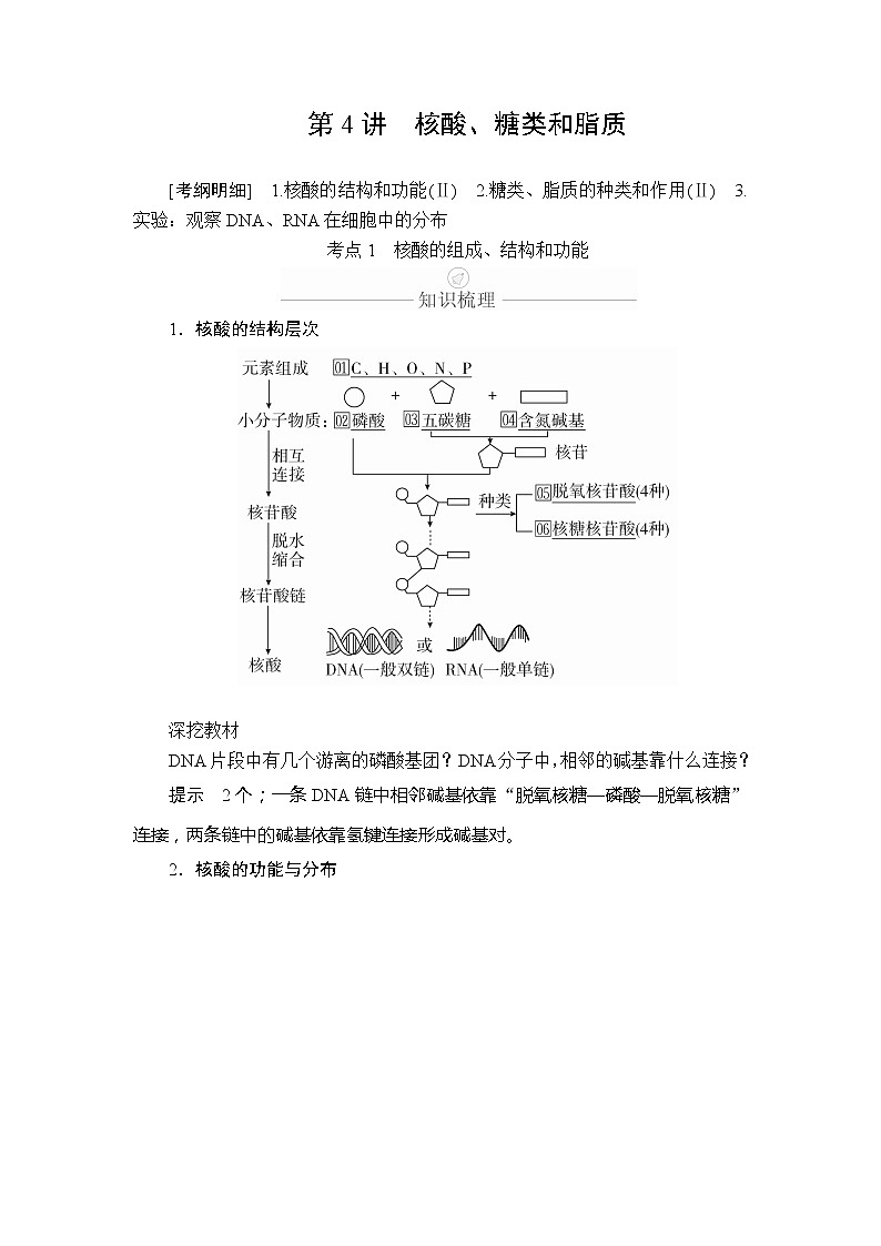 2020年高考生物一轮复习(创新版)文档:必修1第1单元走近细胞及细胞有分子组成第4讲 学案01