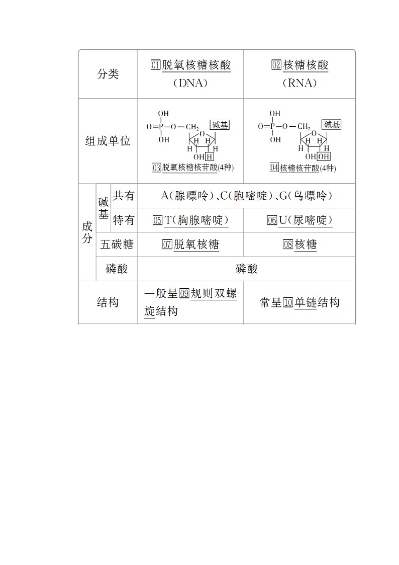 2020年高考生物一轮复习(创新版)文档:必修1第1单元走近细胞及细胞有分子组成第4讲 学案03