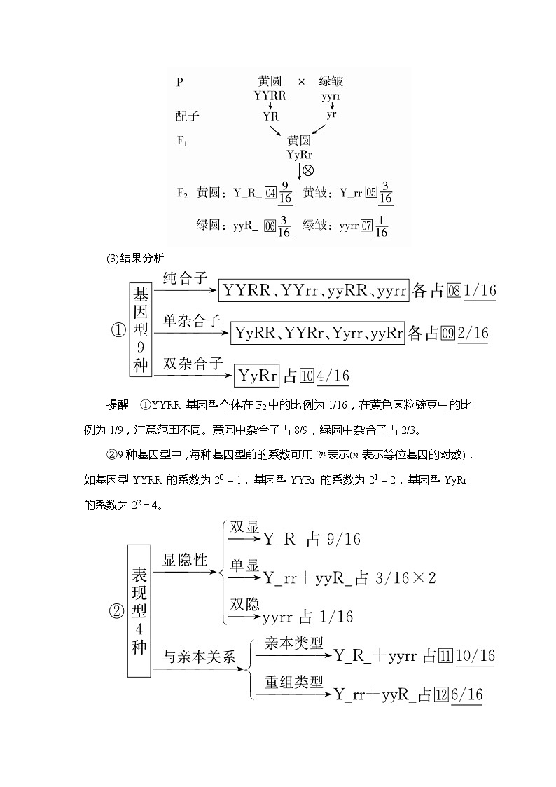 2020年高考生物一輪復習（創(chuàng)新版）文檔：必修2第5單元遺傳的基本規(guī)律與伴性遺傳第15講第3頁