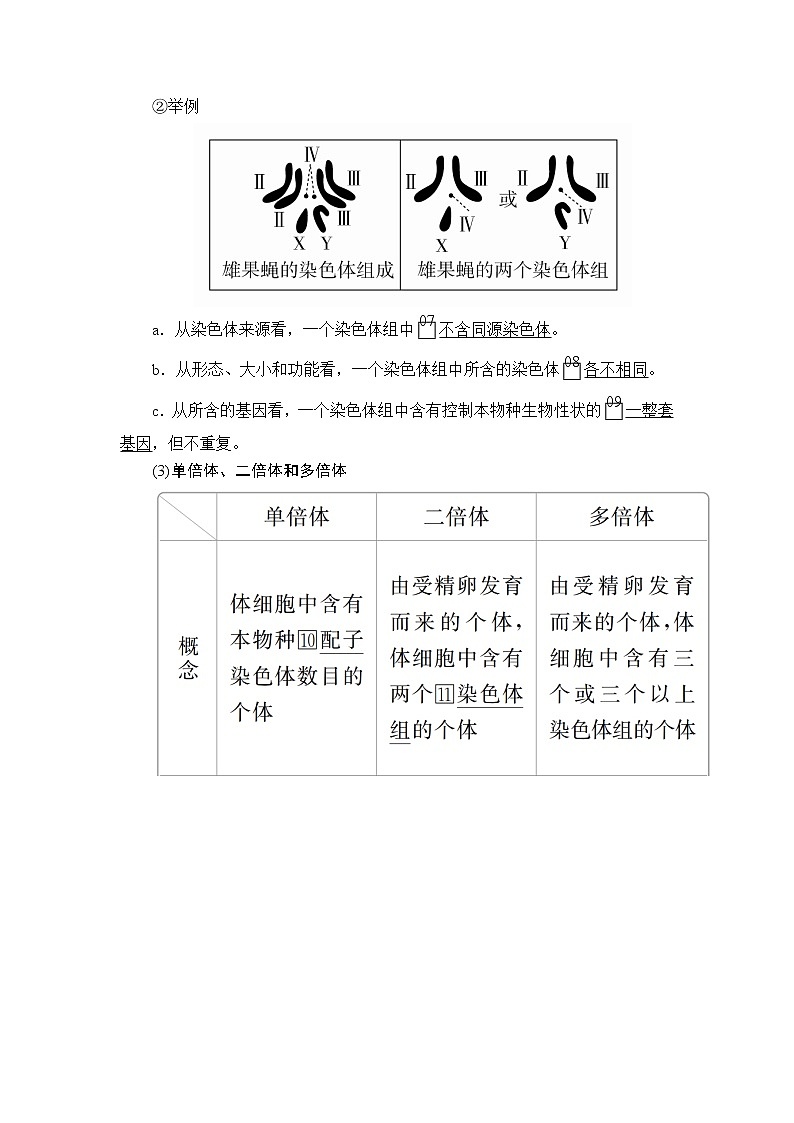 2020年高考生物一轮复习(创新版)文档:必修2第7单元生物的变异、育种和进化第22讲 学案02
