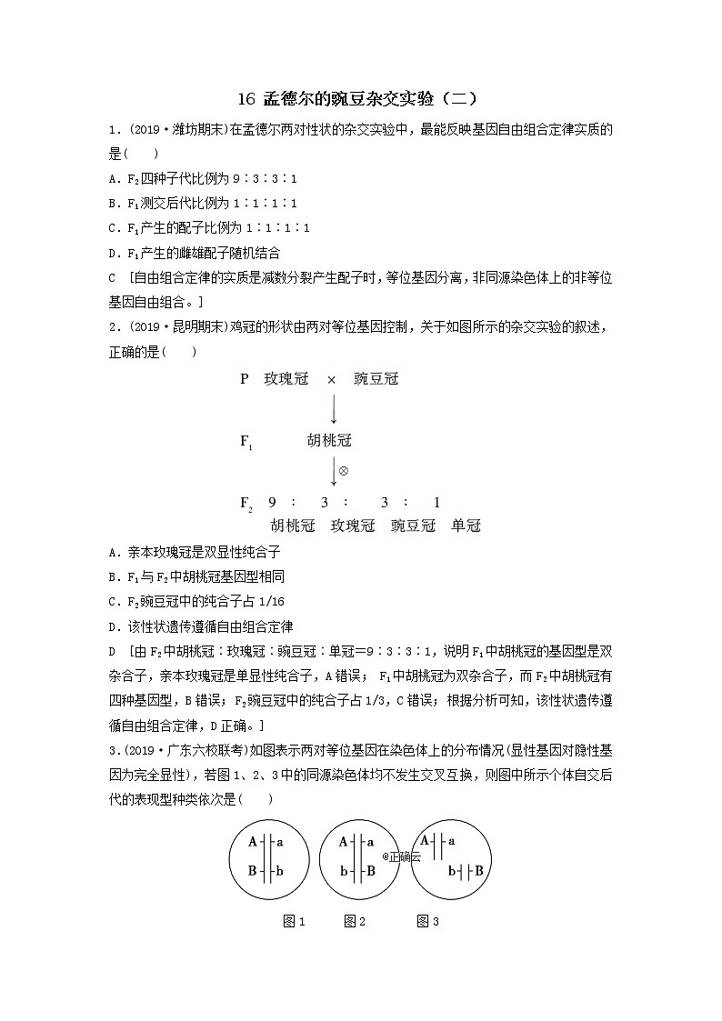 2021届高考生物新人教版一轮复习课后集训:16孟德尔的豌豆杂交实验(二) 学案01