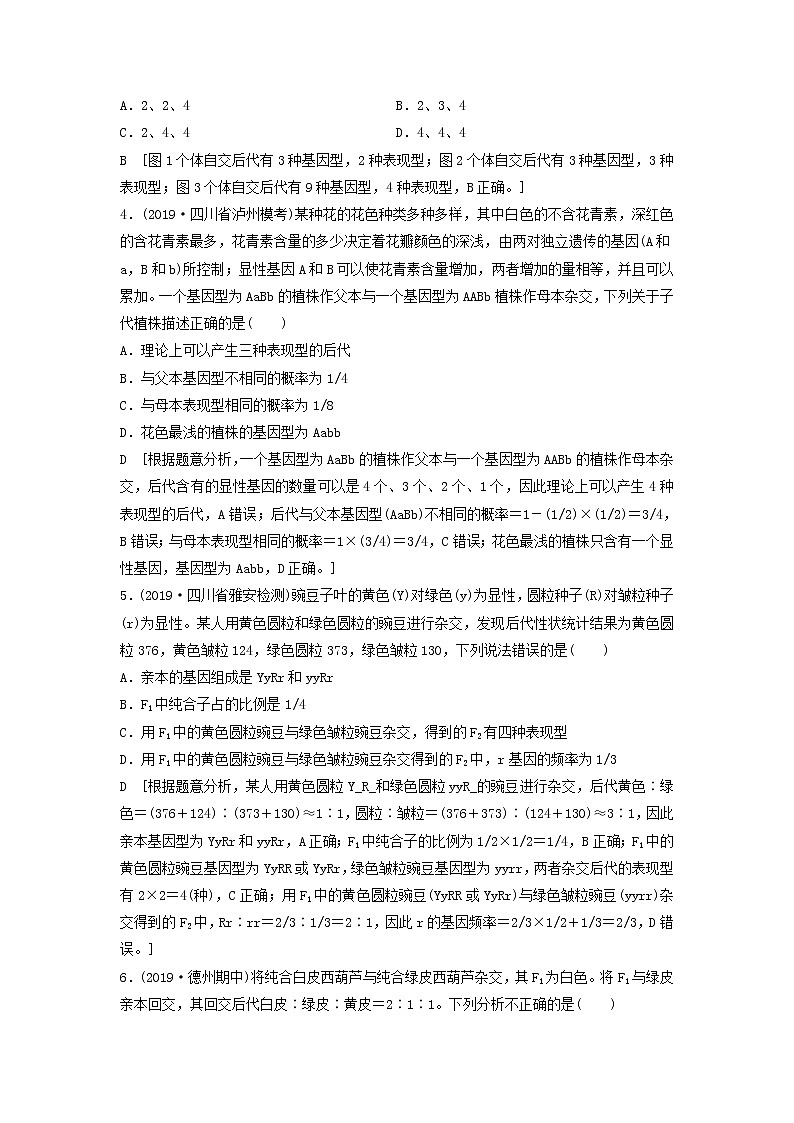 2021届高考生物新人教版一轮复习课后集训:16孟德尔的豌豆杂交实验(二) 学案02