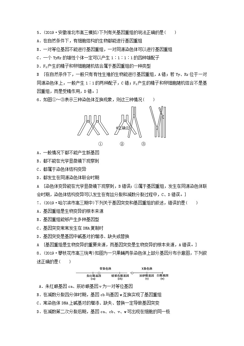 2021届高考生物新人教版一轮复习课后集训:21基因突变和基因重组第2页