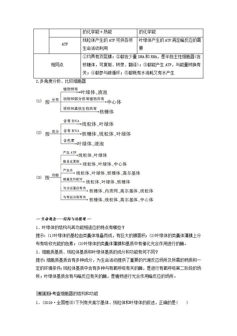 2021届高考生物新人教版一轮复习学案:第2单元细胞的基本结构与其物质的输入和输出第2讲细胞器——系统内的分工合作第3页