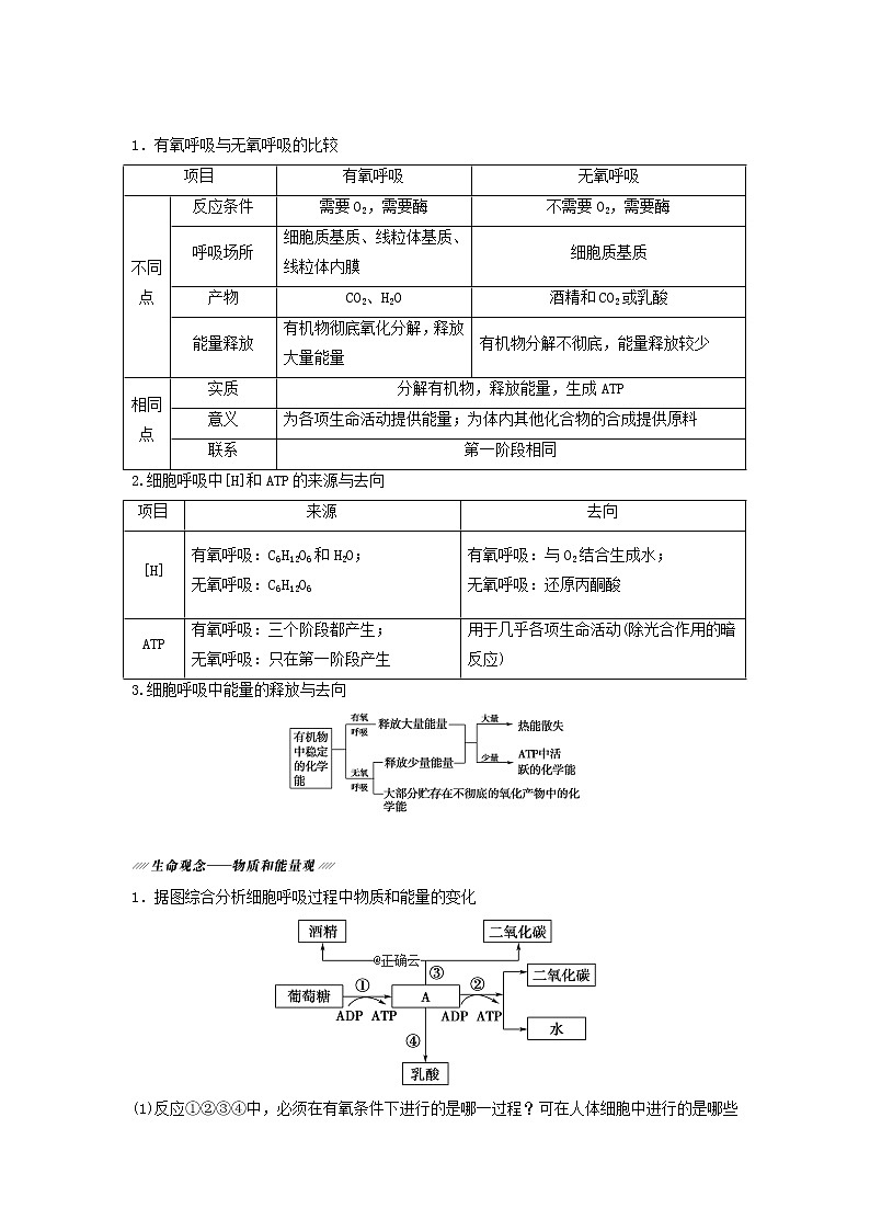 2021届高考生物新人教版一轮复习学案:第3单元细胞的能量供应和利用第2讲细胞呼吸03
