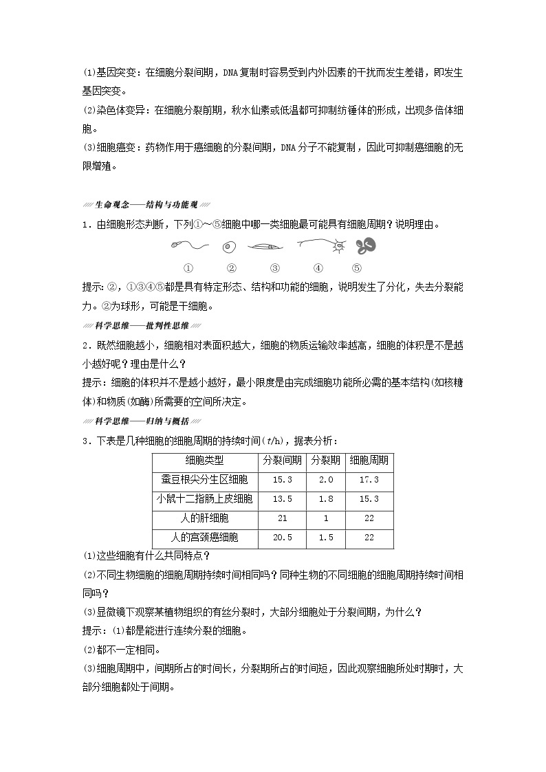 2021届高考生物新人教版一轮复习学案：第4单元细胞的生命历程第1讲细胞的增殖03