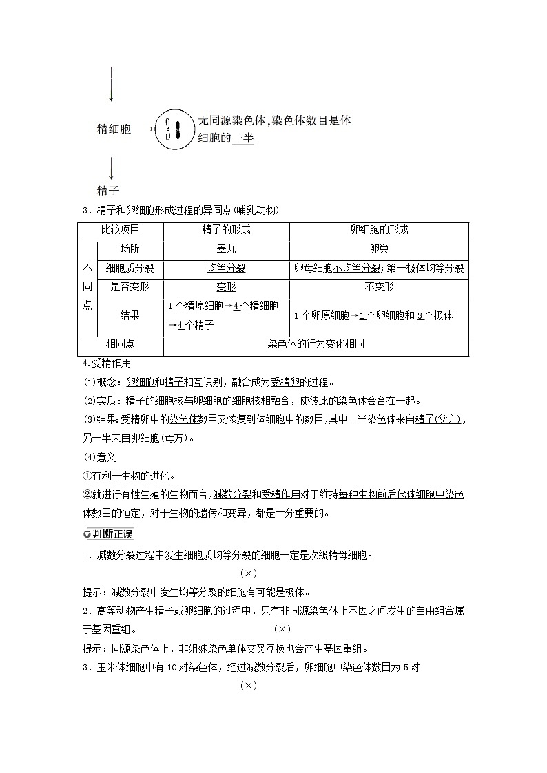 2021屆高考生物新人教版一輪復(fù)習(xí)學(xué)案：第4單元細(xì)胞的生命歷程第2講減數(shù)分裂和受精作用第3頁