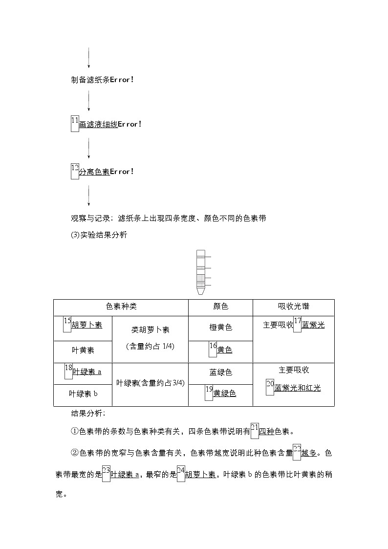 2021高三统考人教生物一轮(经典版)学案:必修1第3单元第10讲 光合作用的探究历程与基本过程第3页