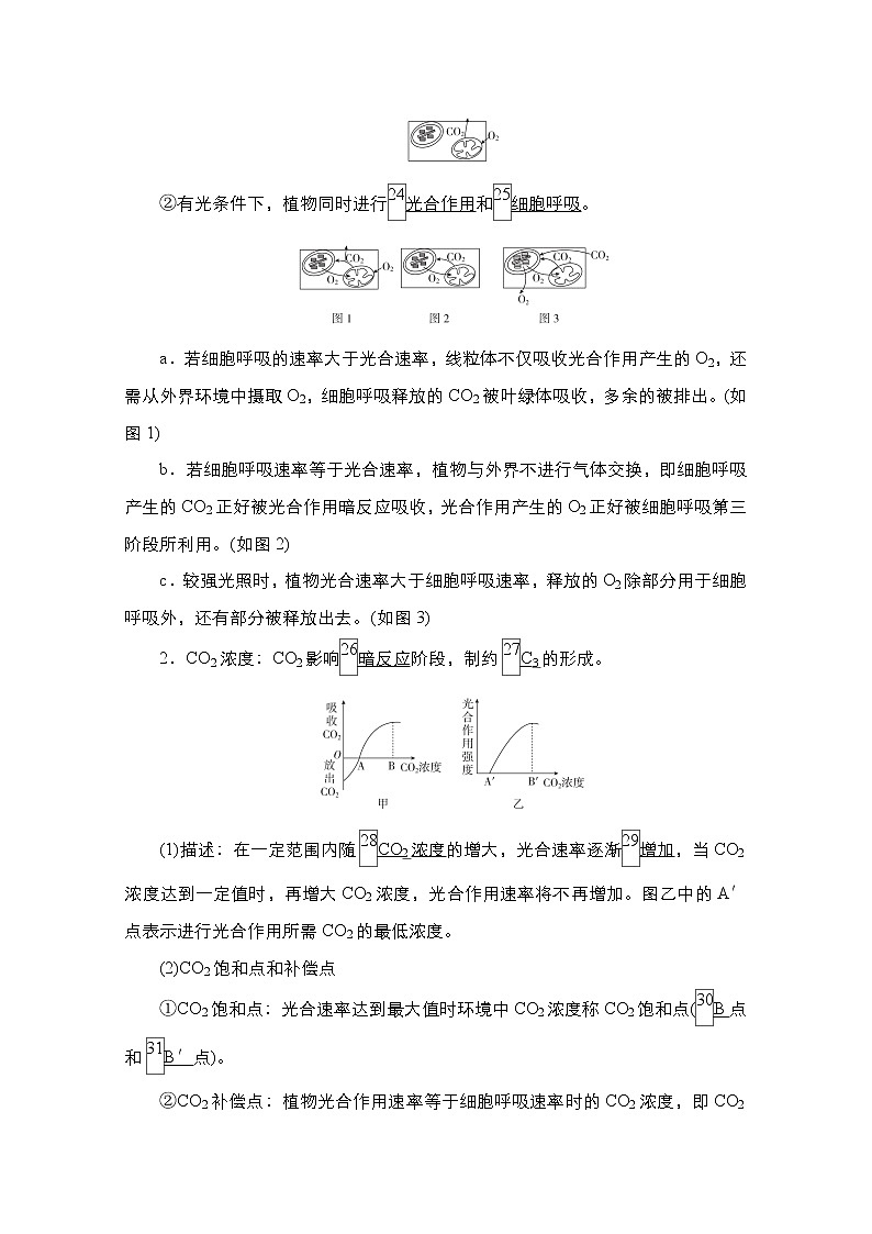2021高三统考人教生物一轮(经典版)学案:必修1第3单元第11讲 影响光合作用速率的因素及光合作用和细胞呼吸的关系第3页