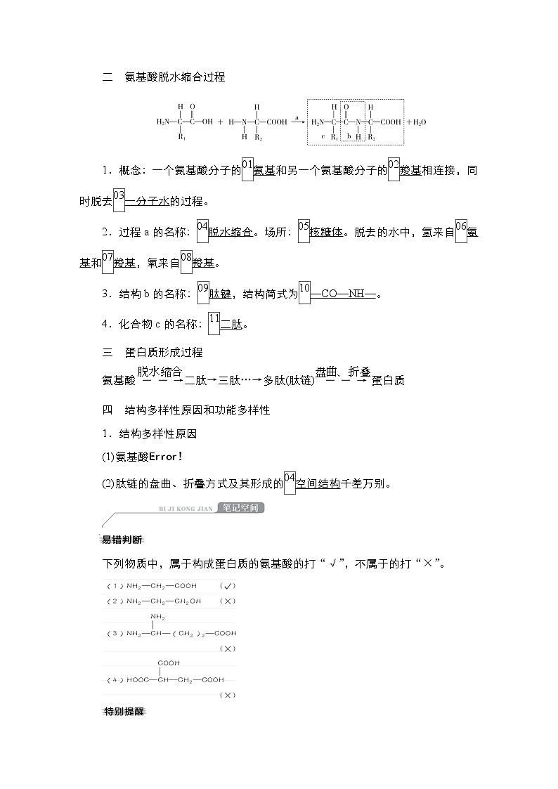 2021高三统考人教生物一轮(经典版)学案:必修1第1单元 第3讲 生命活动的主要承担者-蛋白质第3页