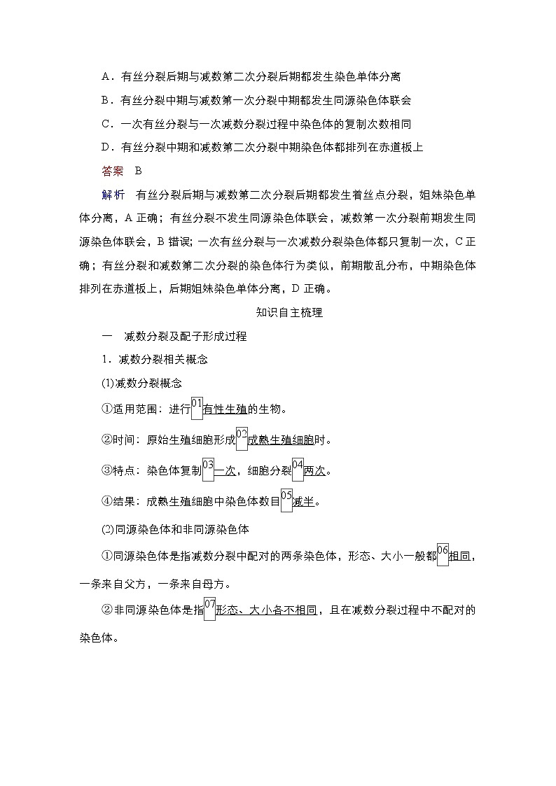 2021高三统考人教生物一轮(经典版)学案:必修1第4单元第13讲 减数分裂和受精作用第2页