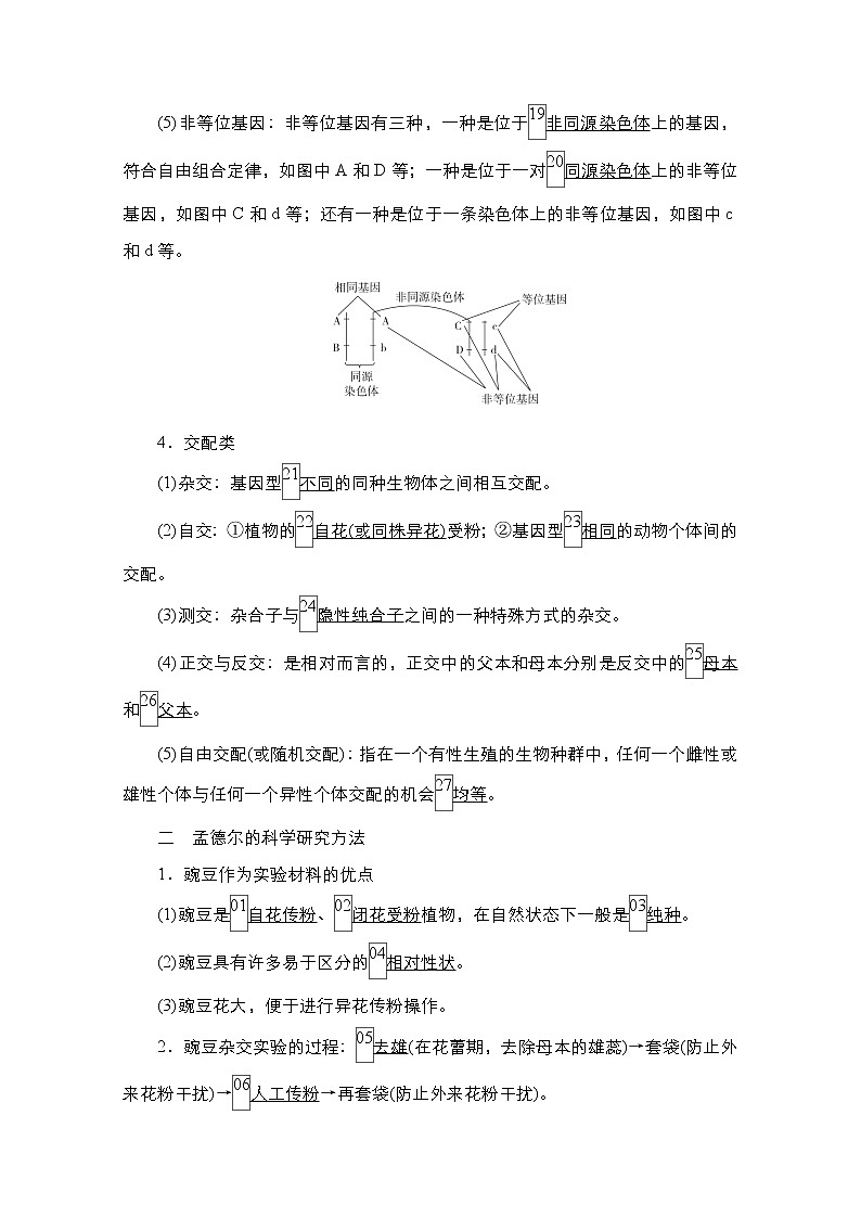 2021高三统考人教生物一轮(经典版)学案:必修2第5单元第15讲 基因的分离定律第3页