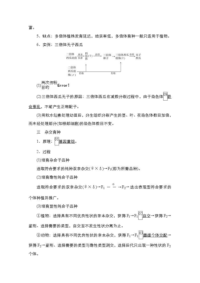 2021高三统考人教生物一轮(经典版)学案:必修2第7单元 第23讲 第2课时 生物变异在育种上的应用第3页
