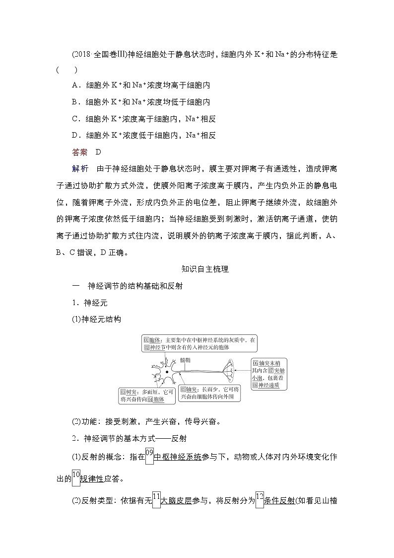 2021高三统考人教生物一轮(经典版)学案:必修3第8单元第26讲 通过神经系统的调节第2页