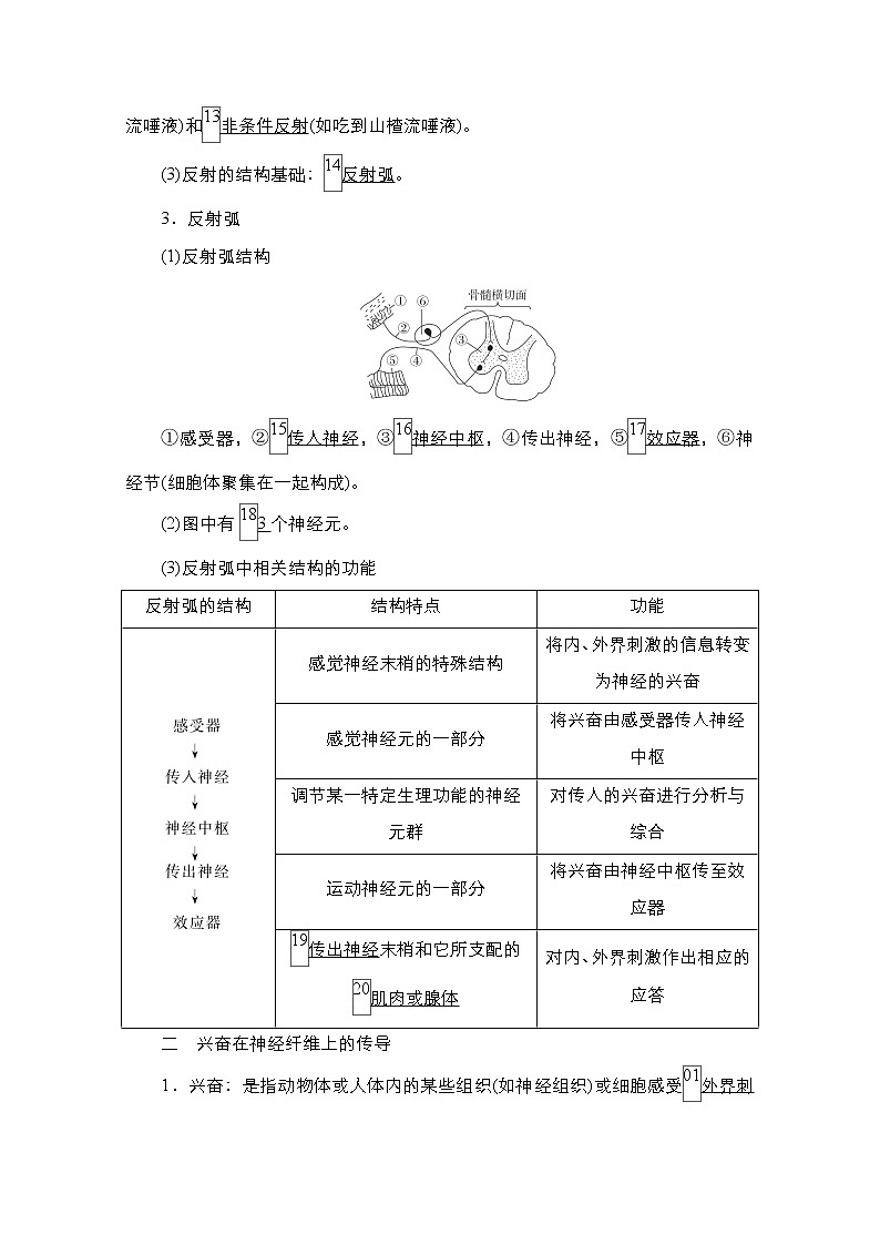 2021高三统考人教生物一轮(经典版)学案:必修3第8单元第26讲 通过神经系统的调节第3页