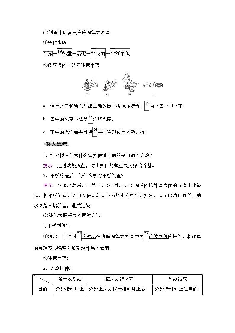 2021高三统考人教生物一轮(经典版)学案:选修1第11单元 第40讲 微生物的培养与应用第3页