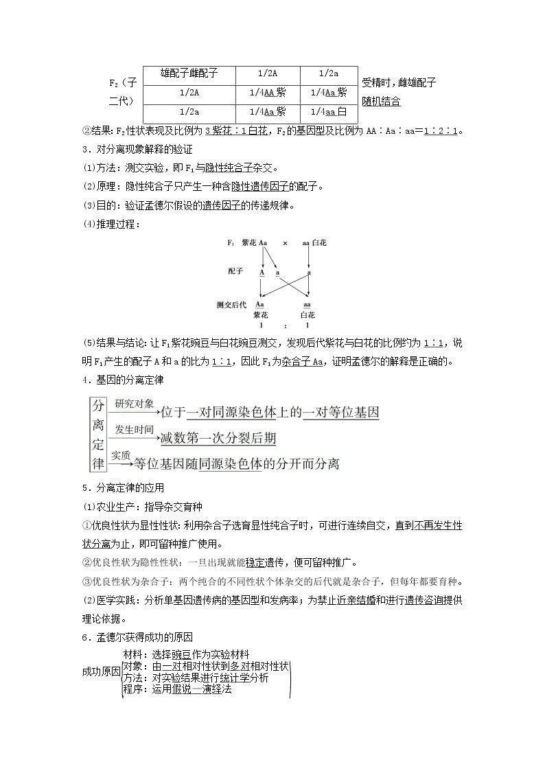 2021届高考生物苏教版一轮复习学案：第5单元遗传定律和伴性遗传第1讲基因的分离定律03