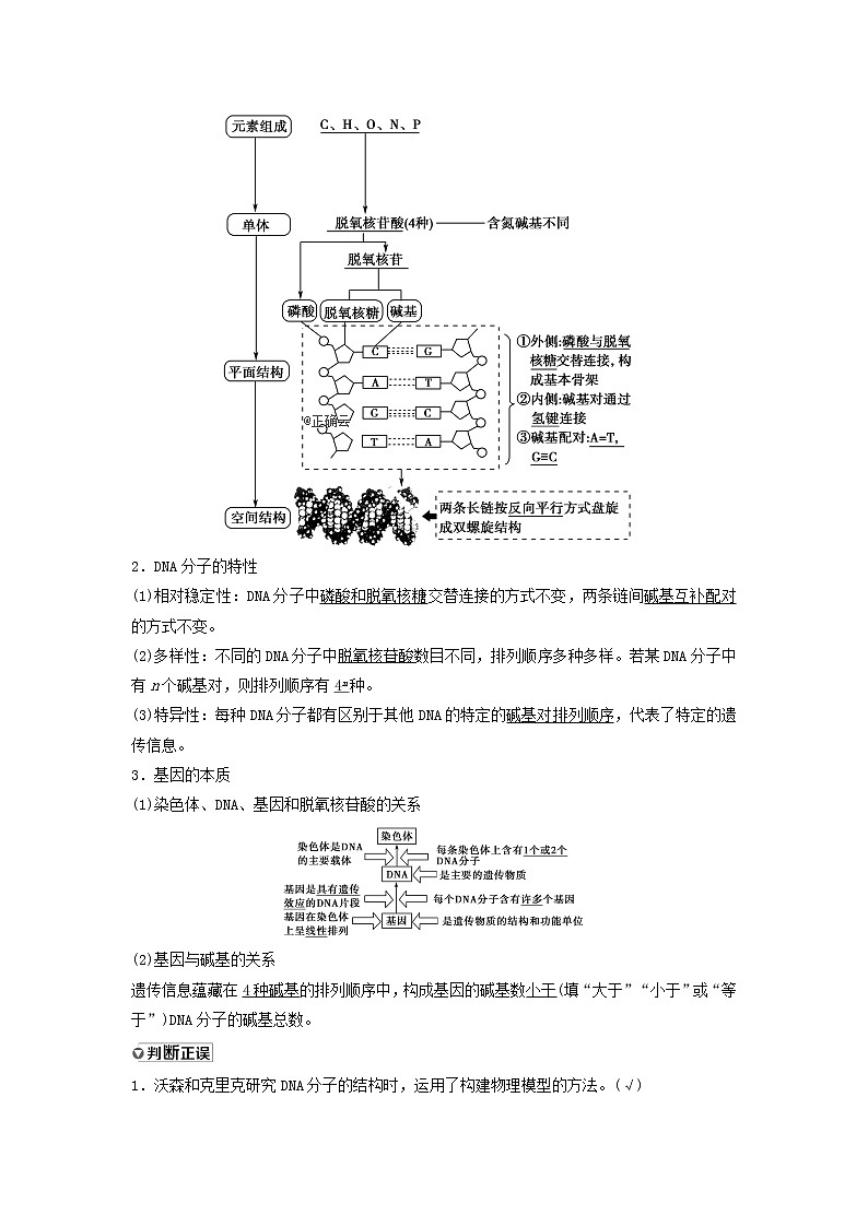 2021届高考生物苏教版一轮复习学案:第6单元遗传的分子基础第2讲DNA分子的结构、复制与基因的本质02
