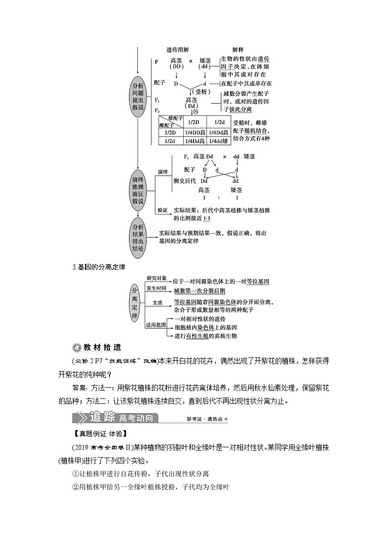 2021版新高考选考生物一轮复习通用版学案:第13讲 基因的分离定律02