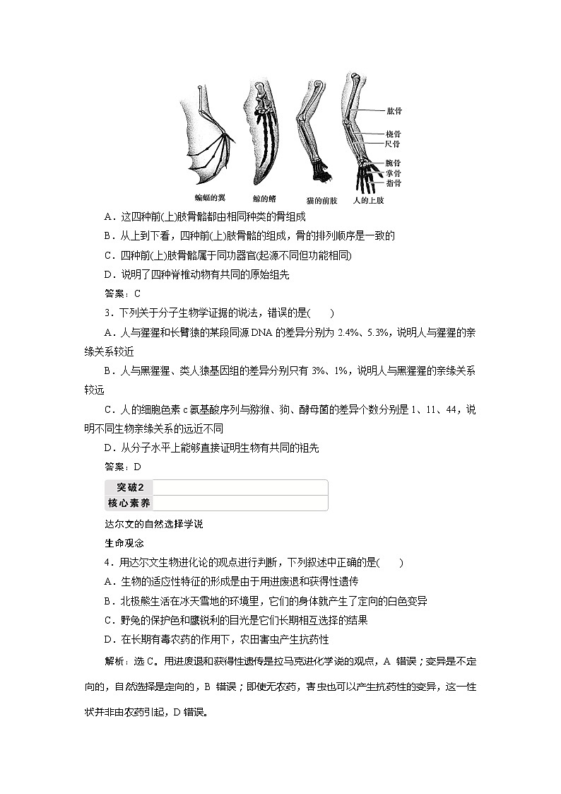 2021版新高考选考生物一轮复习通用版学案:第22讲 生物的进化第3页