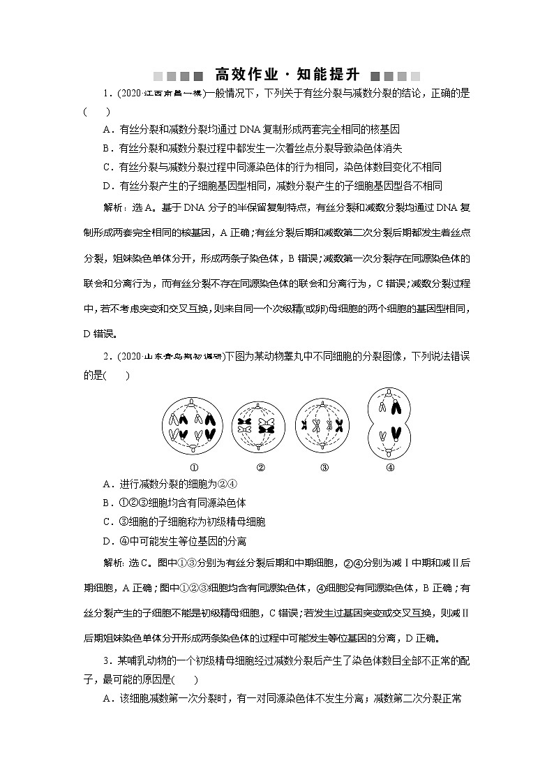 2021版新高考选考生物一轮复习通用版学案:加强提升课(3) 减数分裂与有丝分裂、可遗传变异、DNA复制的关系 高效作业知能提升第1页