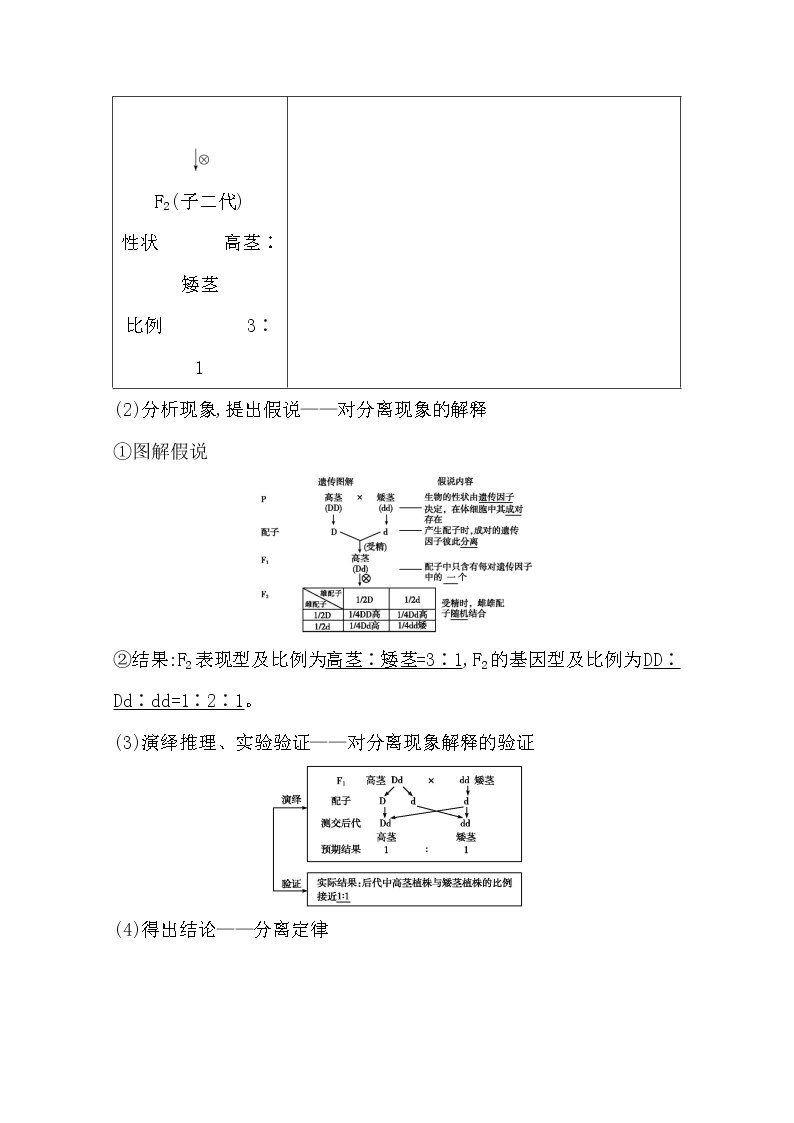 2021高考生物人教版一轮教师用书第五单元第14讲　基因的分离定律03