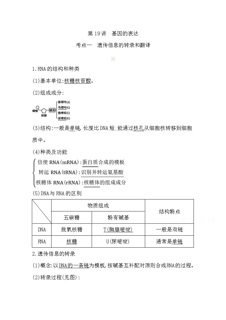2021高考生物人教版一轮教师用书第六单元第19讲 基因的表达01