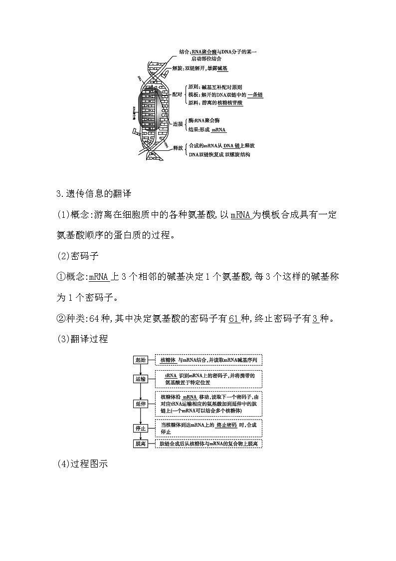 2021高考生物人教版一轮教师用书第六单元第19讲 基因的表达02