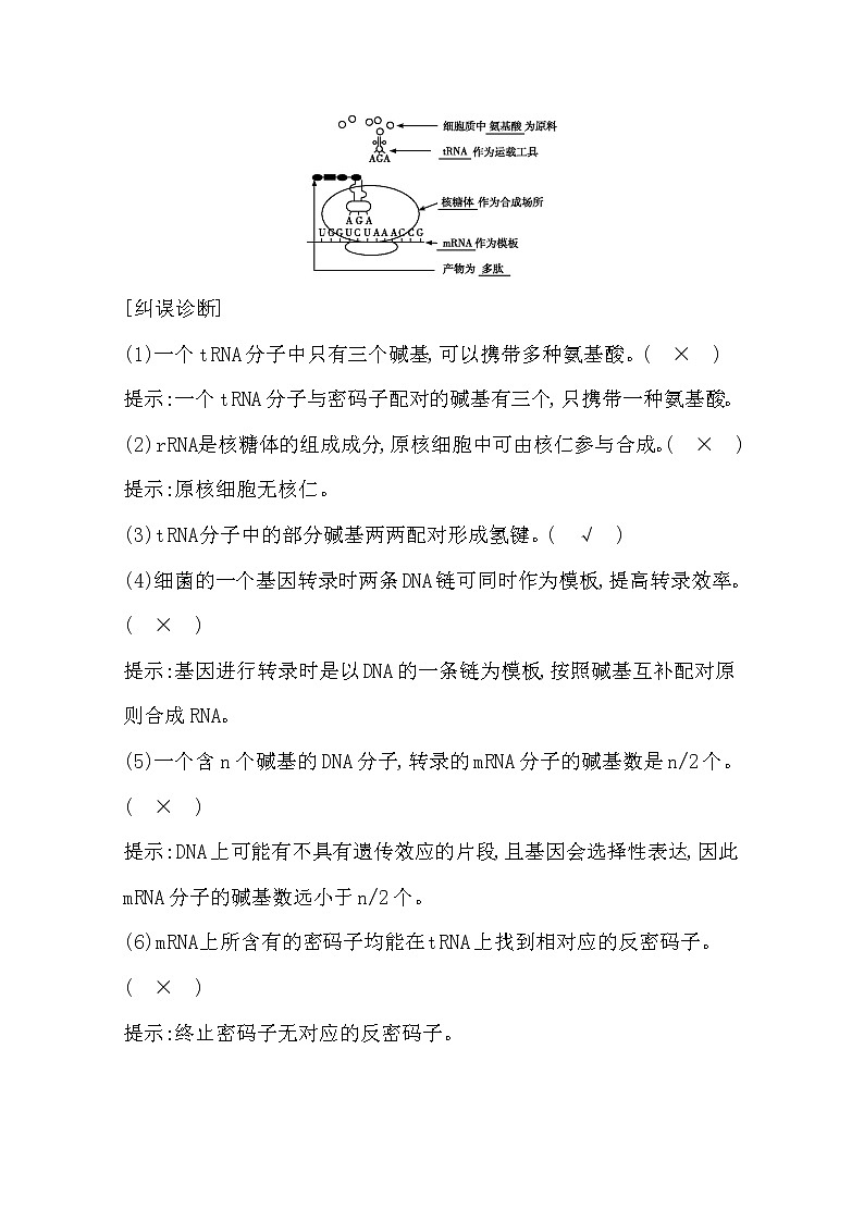 2021高考生物人教版一轮教师用书第六单元第19讲 基因的表达03