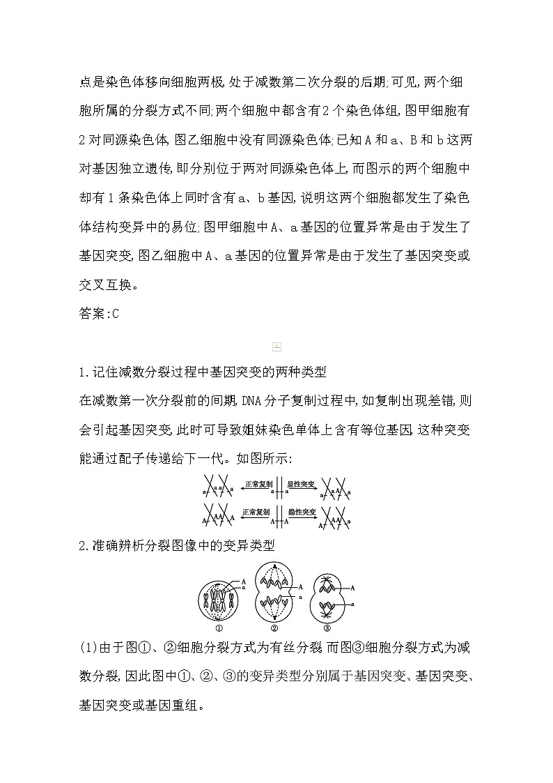 2021高考生物人教版一轮教师用书第七单元素养提升课8 变异与细胞分裂、遗传定律的综合第2页