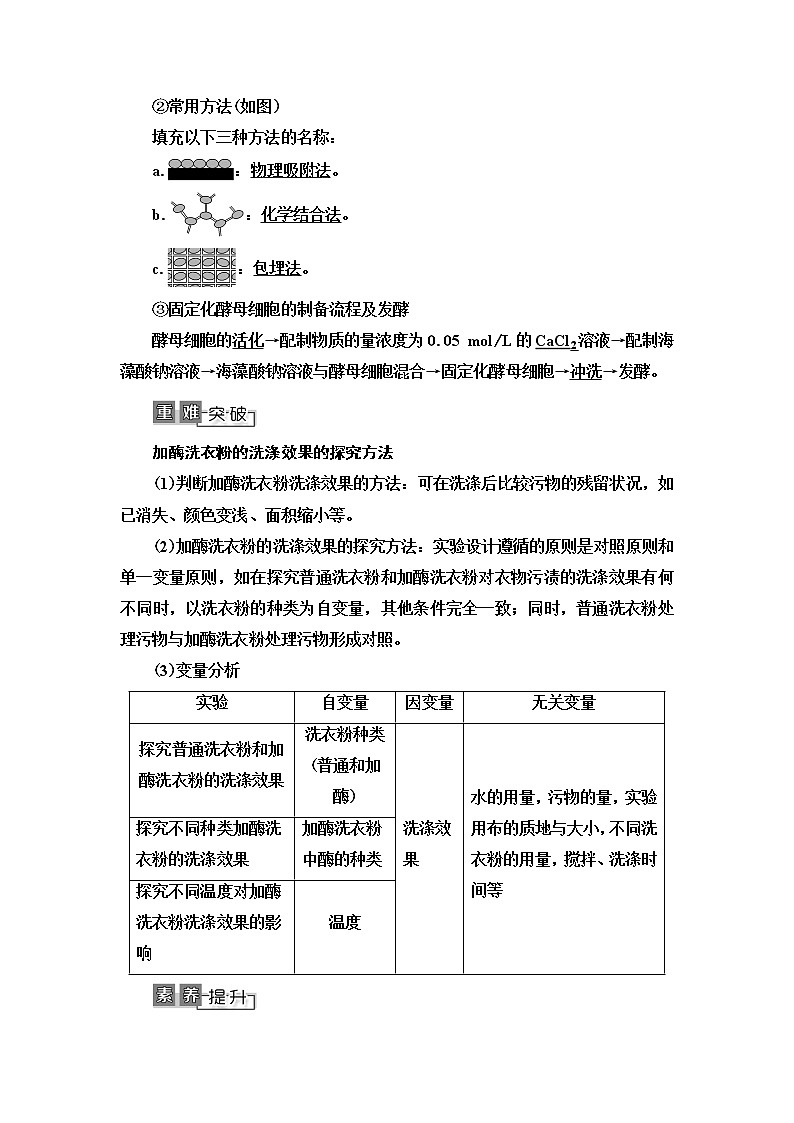 2021版高考生物(苏教版)一轮复习学案:选修1第3讲 生物技术在其他方面的应用03
