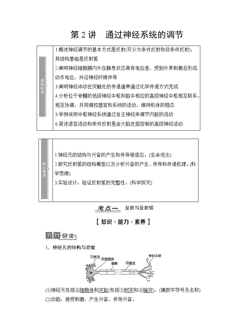 2021版新高考生物培优大一轮复习讲义:必修3第8单元第2讲通过神经系统的调节01