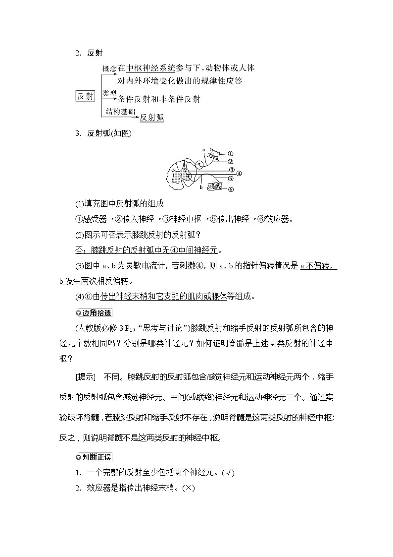 2021版新高考生物培优大一轮复习讲义:必修3第8单元第2讲通过神经系统的调节02