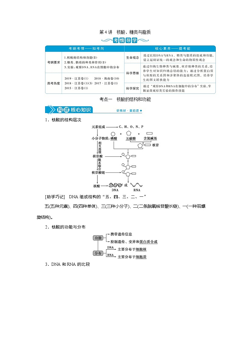 2021版高考生物(人教版)一轮复习学案:第一单元 第4讲 核酸、糖类与脂质01