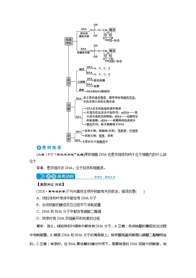 2021版高考生物(人教版)一轮复习学案:第一单元 第4讲 核酸、糖类与脂质02