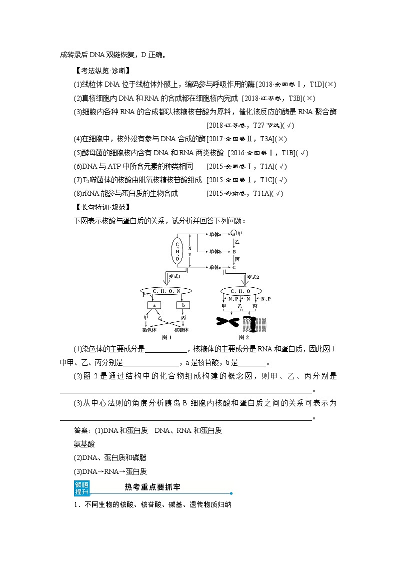 2021版高考生物(人教版)一轮复习学案:第一单元 第4讲 核酸、糖类与脂质03