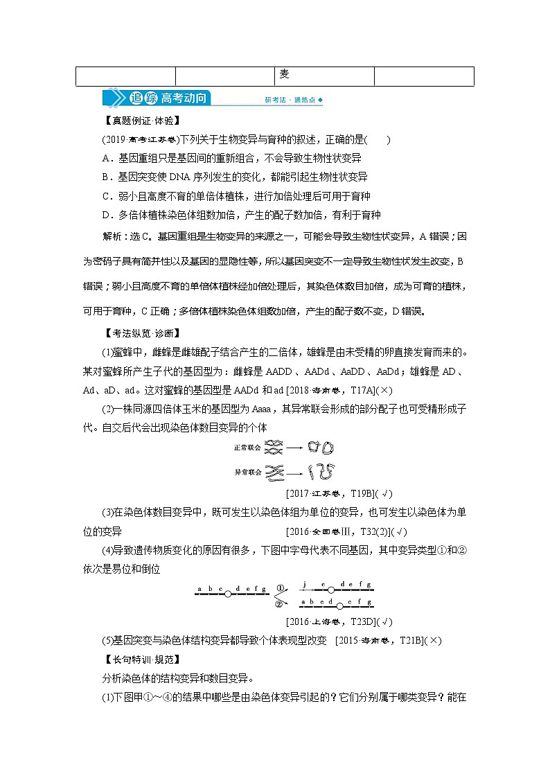 2021版高考生物(人教版)一轮复习学案:第七单元 第21讲 染色体变异与育种第3页