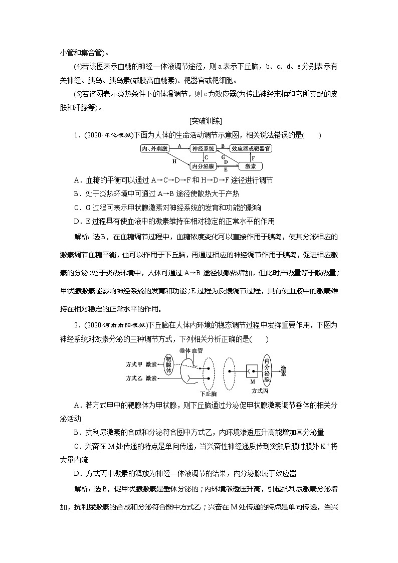 2021版高考生物(人教版)一轮复习学案:第八单元 加强提升课(7) 动物生命活动调节模型及相关实验突破第2页