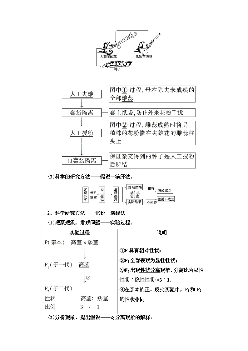 2021版高考生物(苏教版)一轮复习学案:必修2第5单元第1讲 基因的分离定律02