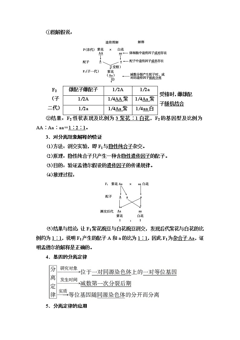 2021版高考生物(苏教版)一轮复习学案:必修2第5单元第1讲 基因的分离定律03