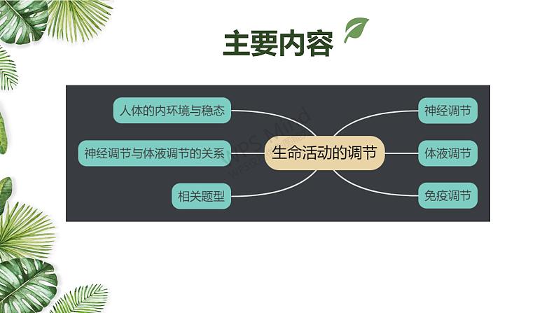 专题12 生命活动的调节(二)-2021年高考备考生物一轮复习课件(共98张PPT)02