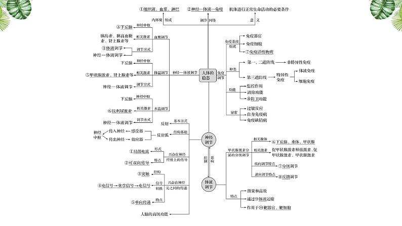 专题12 生命活动的调节(二)-2021年高考备考生物一轮复习课件(共98张PPT)03