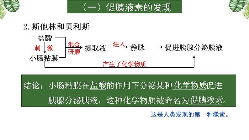 专题12 生命活动的调节(二)-2021年高考备考生物一轮复习课件(共98张PPT)07